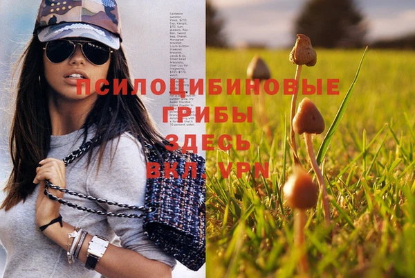 каннабис Алексин