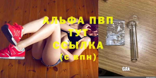 стафф Михайловск
