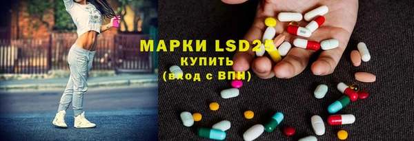 стафф Михайловск